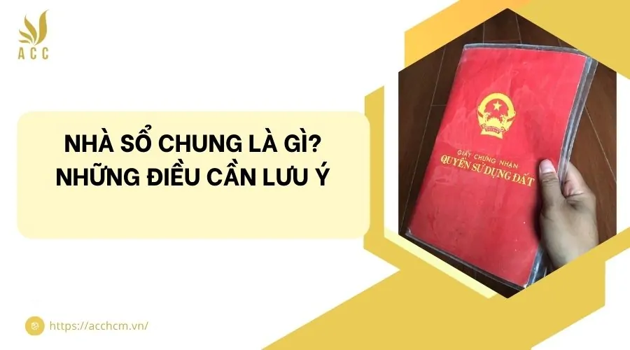 Nhà sổ chung là gì? Những điều cần lưu ý