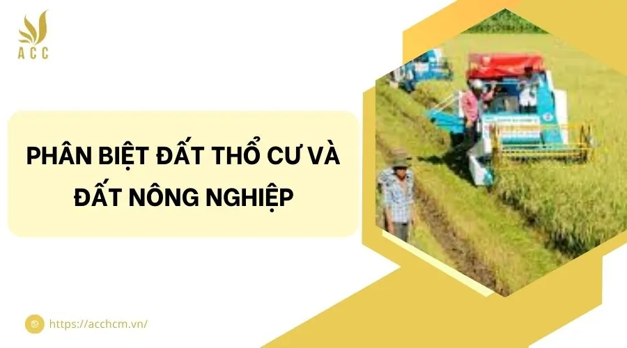 Phân biệt đất thổ cư và đất nông nghiệp