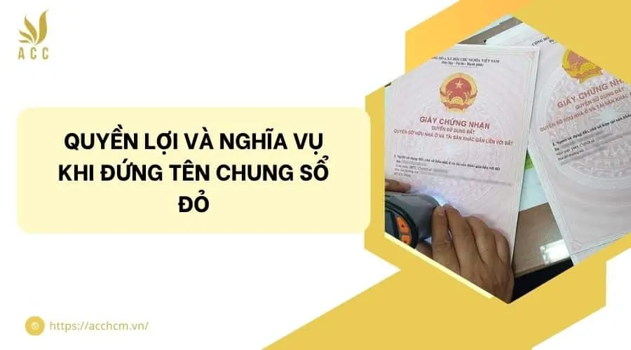 Quyền lợi và nghĩa vụ khi đứng tên chung sổ đỏ