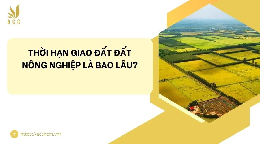 Thời hạn giao đất đất nông nghiệp là bao lâu?