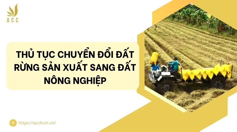 Thủ tục chuyển đổi đất rừng sản xuất sang đất nông nghiệp