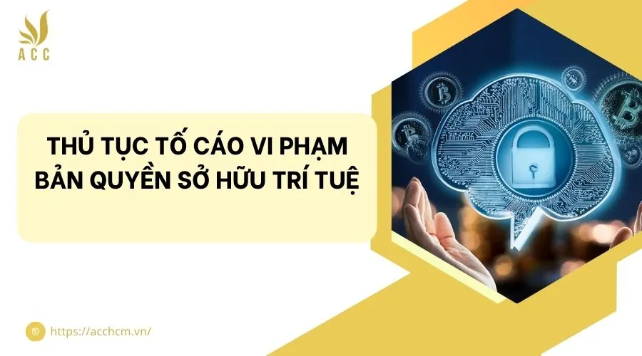 Thủ tục tố cáo vi phạm bản quyền sở hữu trí tuệ