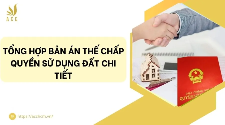 Tổng hợp bản án thế chấp quyền sử dụng đất chi tiết