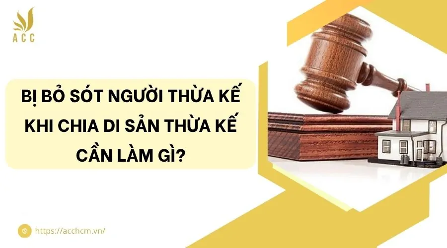 Bị bỏ sót người thừa kế khi chia di sản thừa kế cần làm gì?