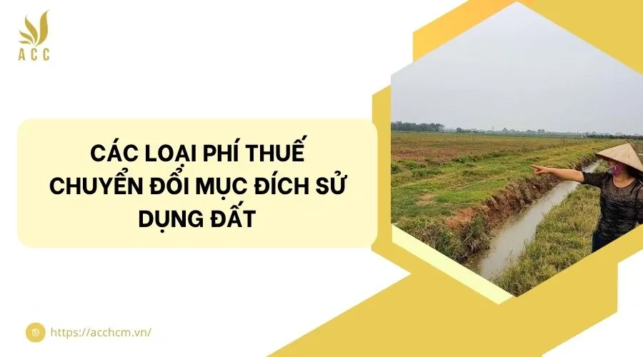 Các loại phí thuế chuyển đổi mục đích sử dụng đất