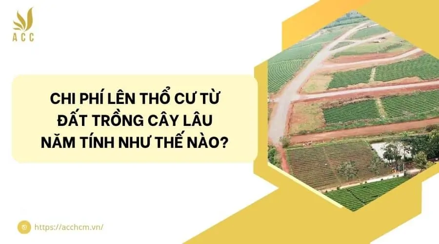 Chi phí lên thổ cư từ đất trồng cây lâu năm tính như thế nào?