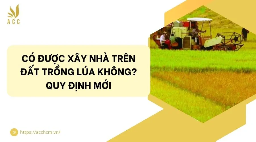 Có được xây nhà trên đất trồng lúa không? Quy định mới