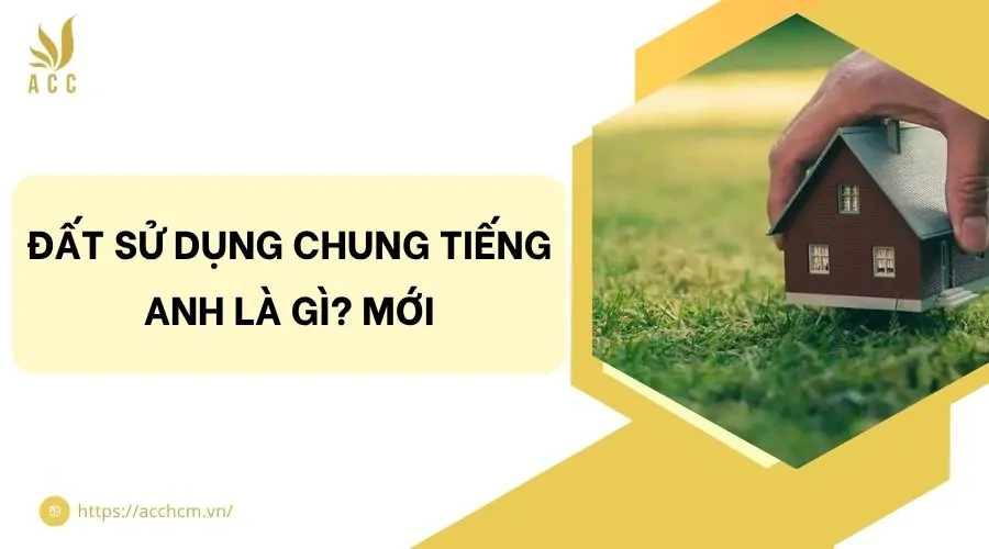 Tiền sử dụng đất tiếng Anh là gì? Mới
