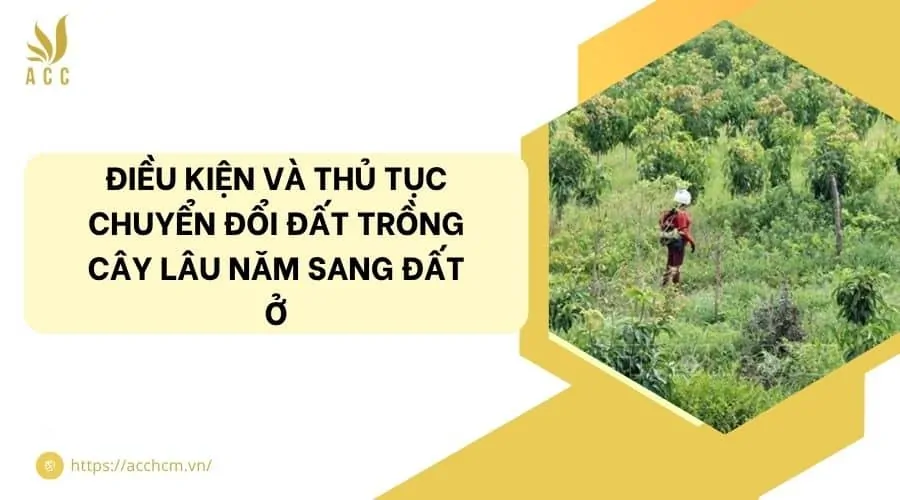 Điều kiện và Thủ tục chuyển đổi đất trồng cây lâu năm sang đất ở
