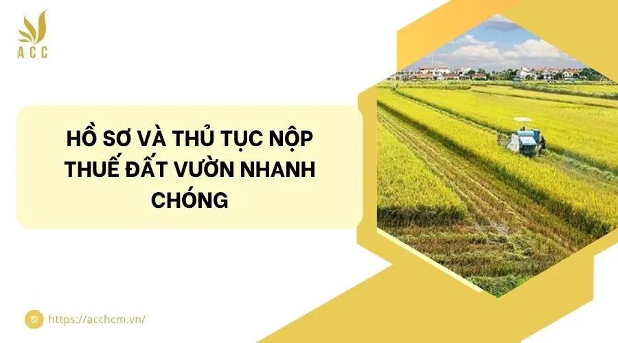 Hồ sơ và thủ tục nộp thuế đất vườn nhanh chóng