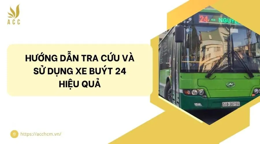 Hướng dẫn tra cứu và sử dụng xe buýt 24 hiệu quả