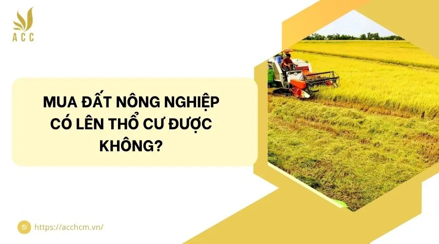 Mua đất nông nghiệp có lên thổ cư được không?