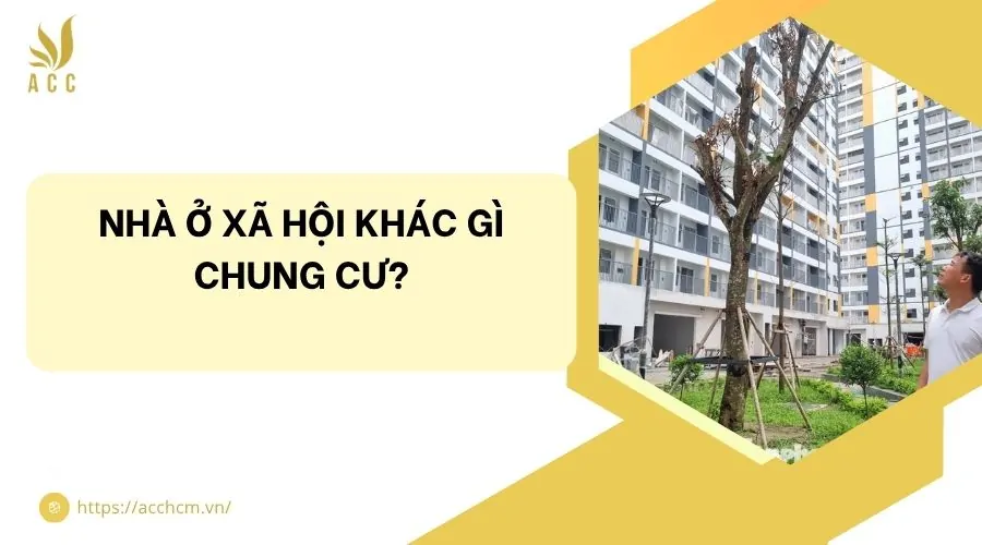 Nhà ở xã hội khác gì chung cư?