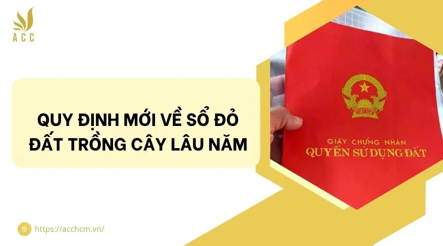 Quy định mới về sổ đỏ đất trồng cây lâu năm