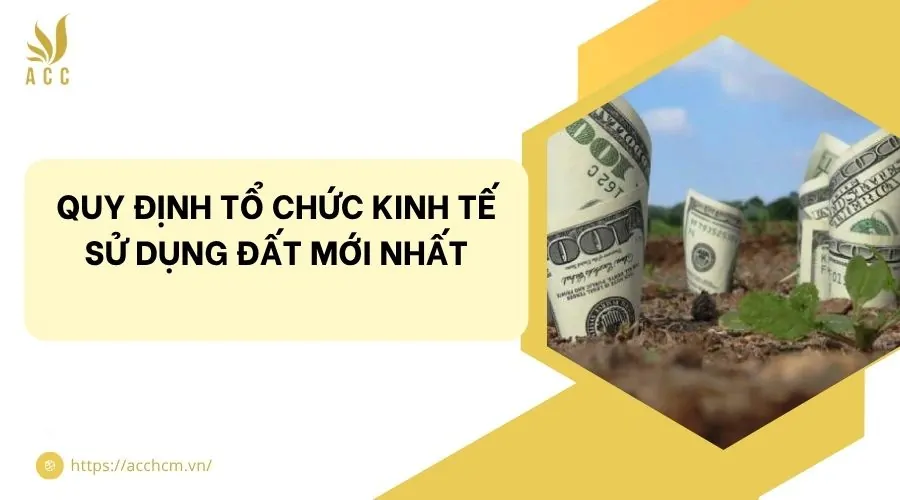 Quy định tổ chức kinh tế sử dụng đất mới nhất