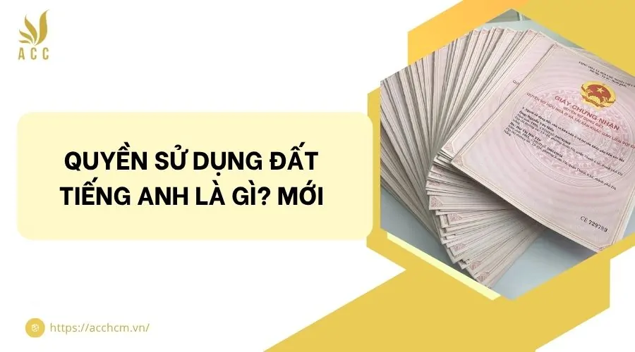 Quyền sử dụng đất tiếng anh là gì? Mới