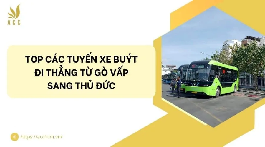 Top các tuyến xe buýt đi thẳng từ Gò Vấp sang Thủ Đức