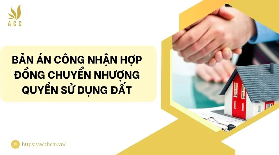 Bản án công nhận hợp đồng chuyển nhượng quyền sử dụng đất