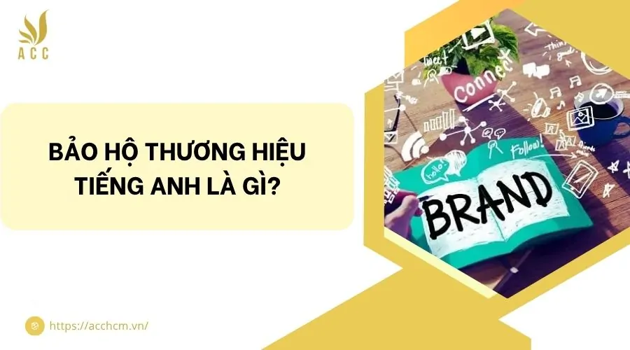 Bảo hộ thương hiệu tiếng anh là gì?