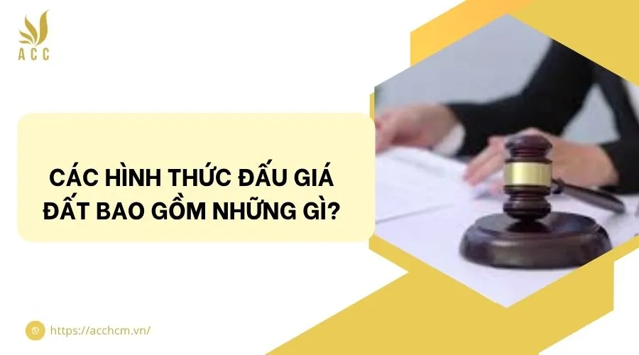 Các hình thức đấu giá đất bao gồm những gì?
