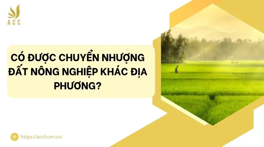 Có được chuyển nhượng đất nông nghiệp khác địa phương?