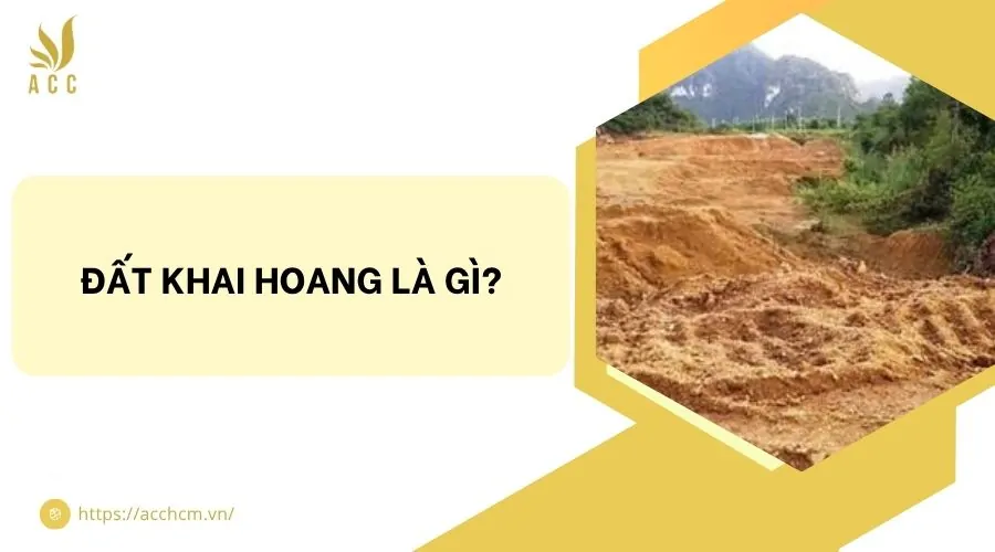 Đất khai hoang là gì?