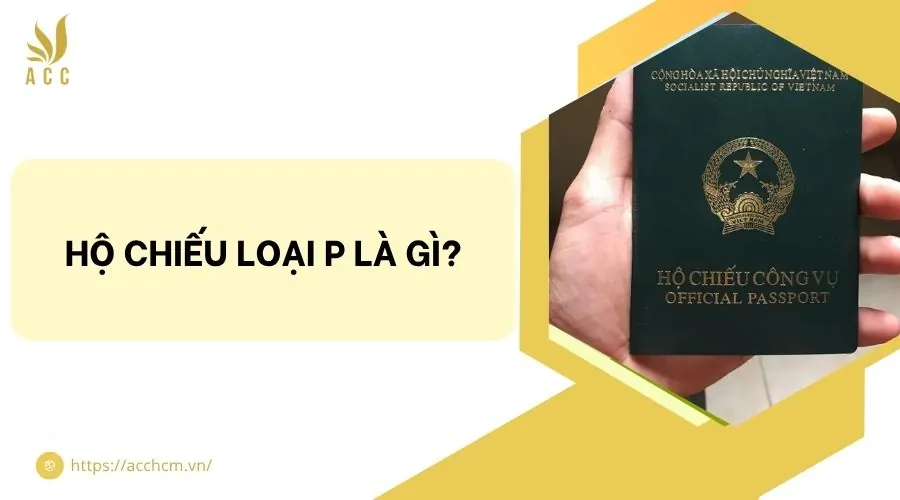 Hộ chiếu loại P là gì?