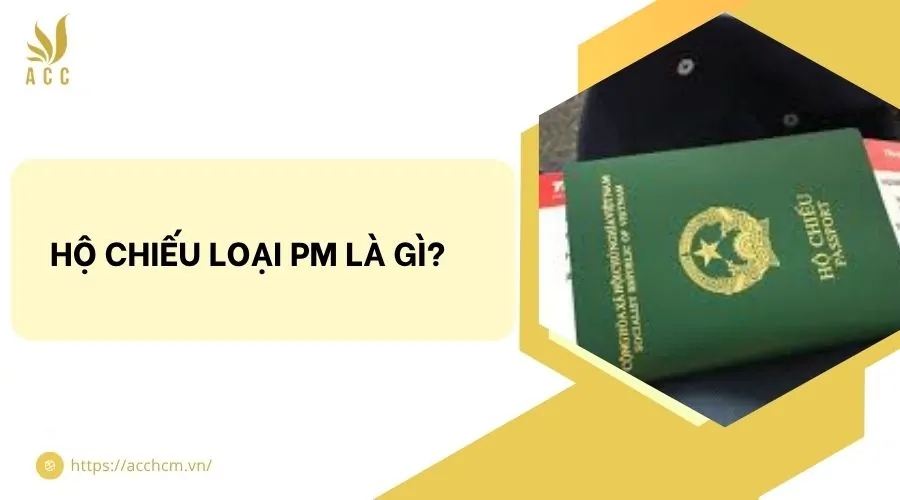 Hộ chiếu loại PM là gì?