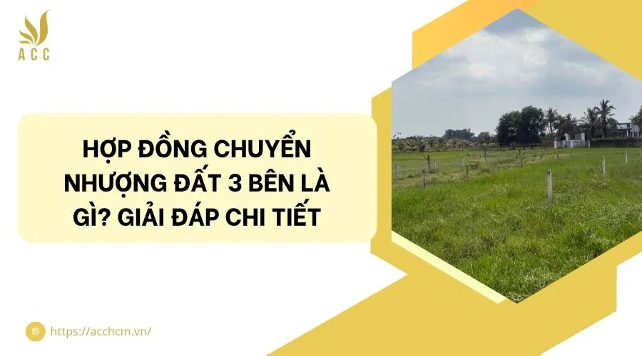 Hợp đồng chuyển nhượng đất 3 bên là gì? Giải đáp chi tiết