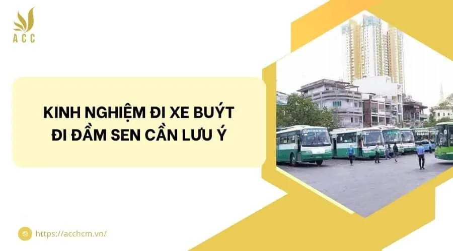 Kinh nghiệm đi xe buýt đi Đầm Sen cần lưu ý