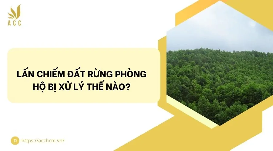 Lấn chiếm đất rừng phòng hộ bị xử lý thế nào?