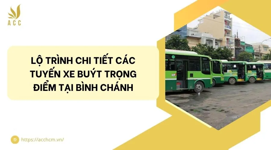 Lộ trình chi tiết các tuyến xe buýt trọng điểm tại Bình Chánh