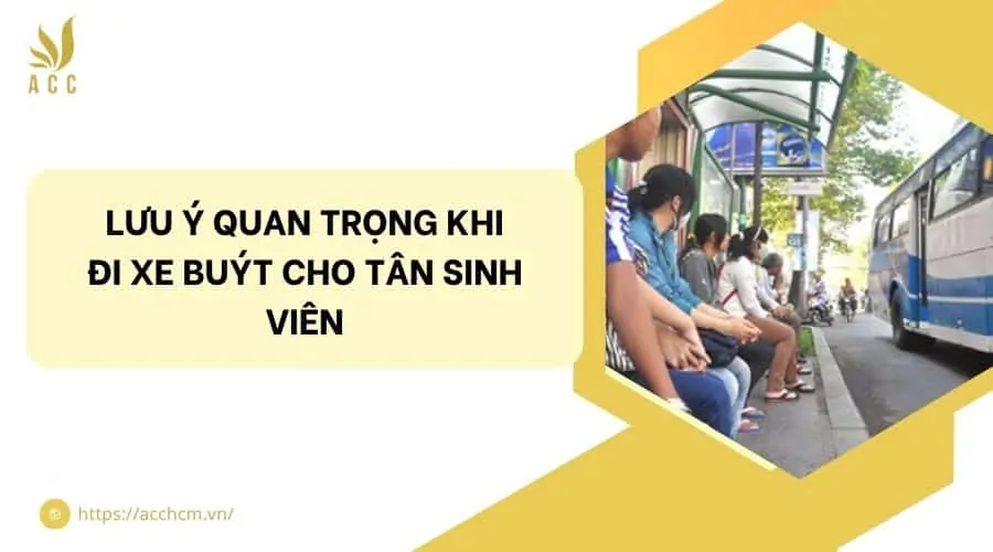 Lưu ý quan trọng khi đi xe buýt cho tân sinh viên