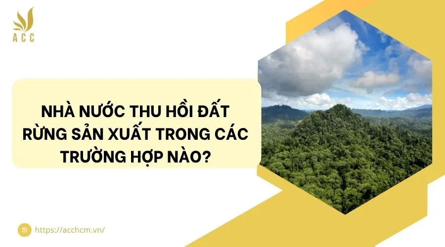 Nhà nước thu hồi đất rừng sản xuất trong các trường hợp nào?
