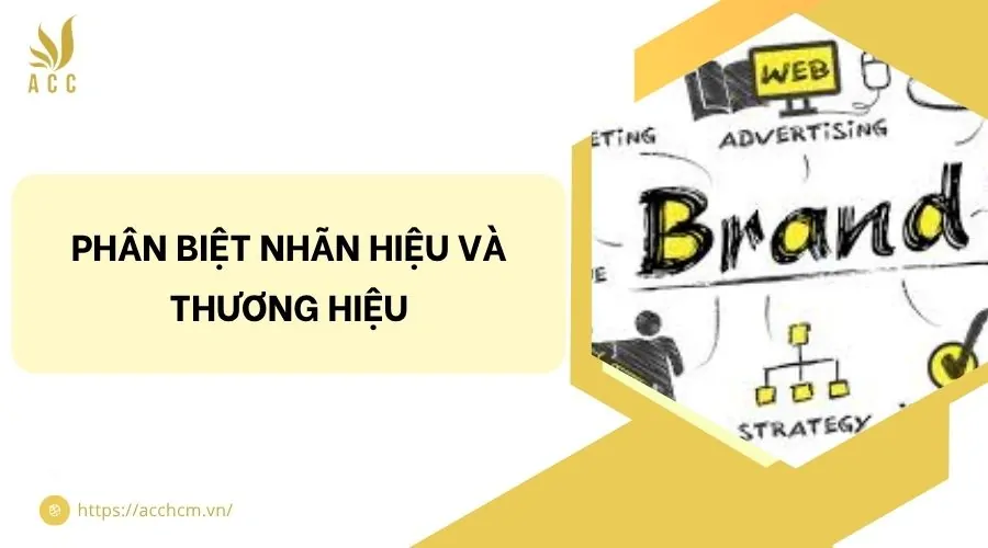 Phân biệt nhãn hiệu và thương hiệu