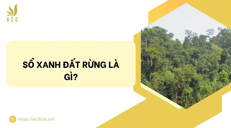 Sổ xanh đất rừng là gì?