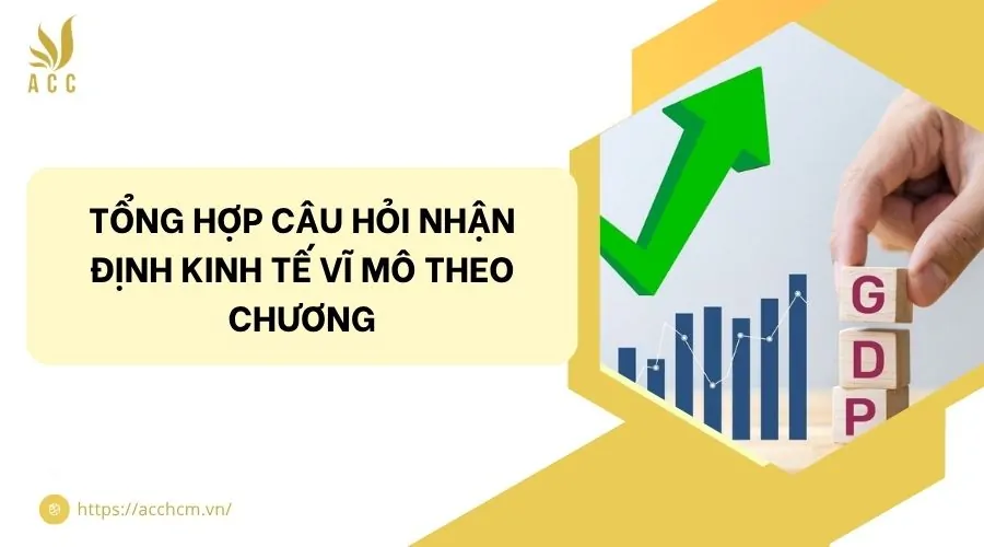 Tổng hợp câu hỏi nhận định Kinh tế vĩ mô theo chương
