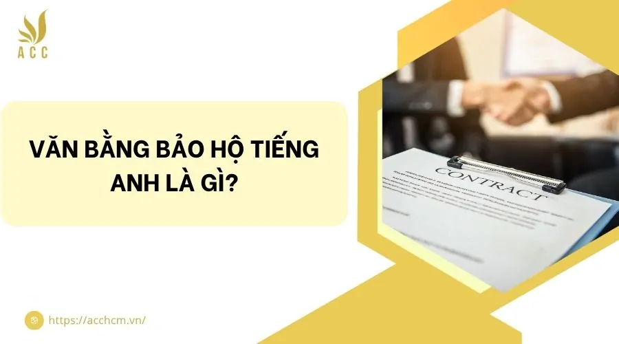 Văn bằng bảo hộ tiếng anh là gì?