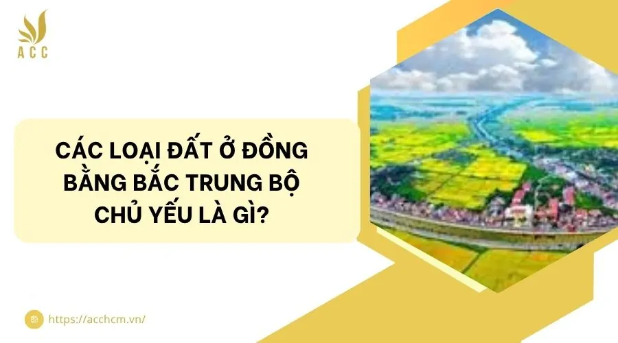Các loại đất ở đồng bằng Bắc Trung Bộ chủ yếu là gì?