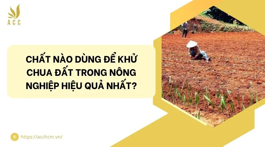 Chất nào dùng để khử chua đất trong nông nghiệp hiệu quả nhất?