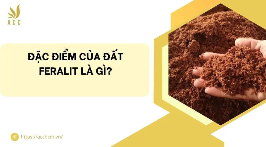 Đặc điểm của đất feralit là gì?