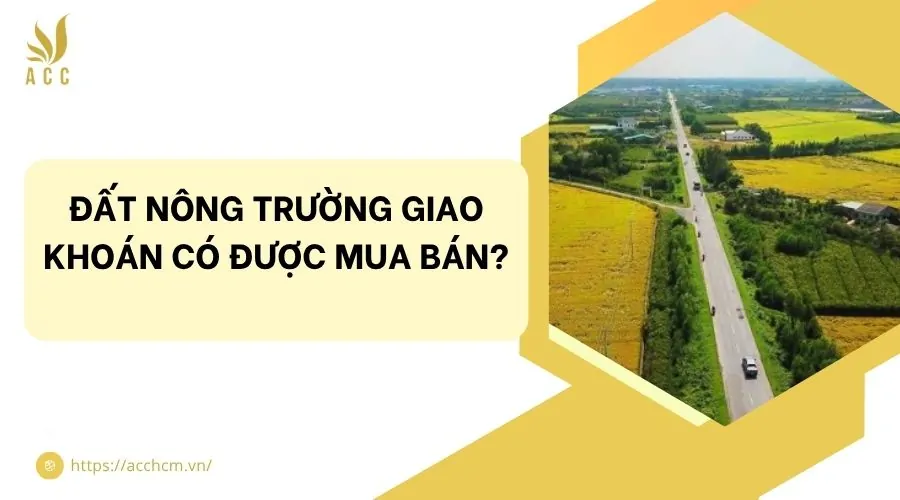 Đất nông trường giao khoán có được mua bán?