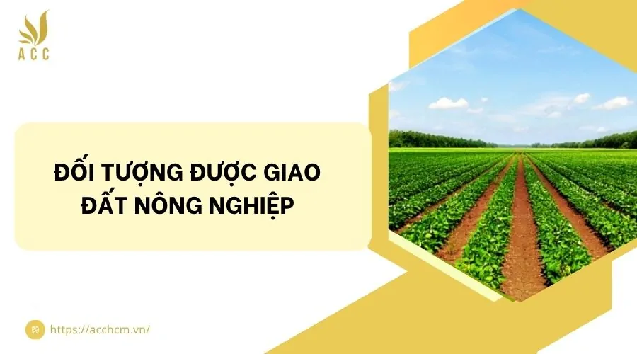 Đối tượng được giao đất nông nghiệp