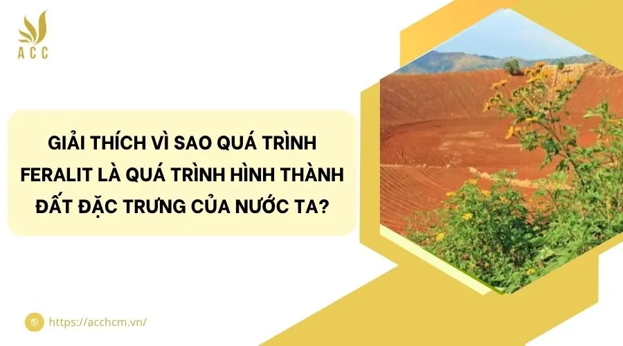 Giải thích vì sao quá trình feralit là quá trình hình thành đất đặc trưng của nước ta?