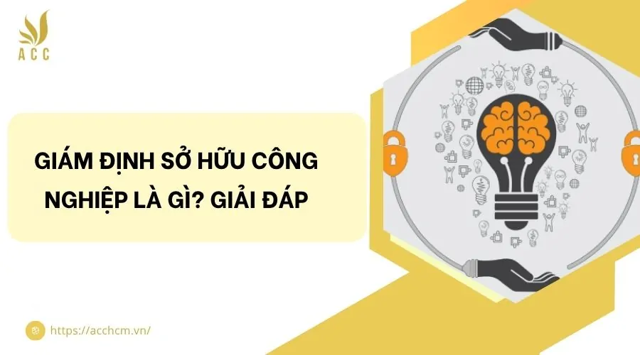 Giám định sở hữu công nghiệp là gì? Giải đáp