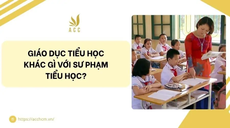 Giáo dục tiểu học khác gì với sư phạm tiểu học