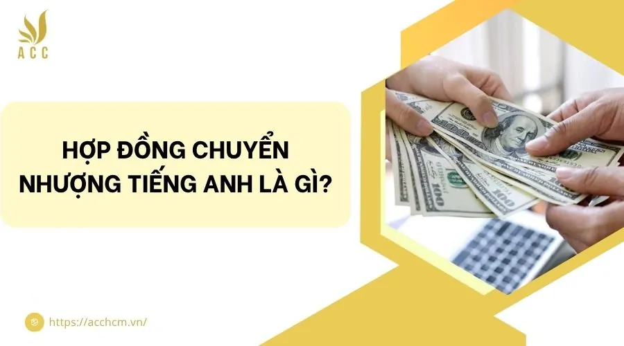 Hợp đồng chuyển nhượng tiếng Anh là gì?