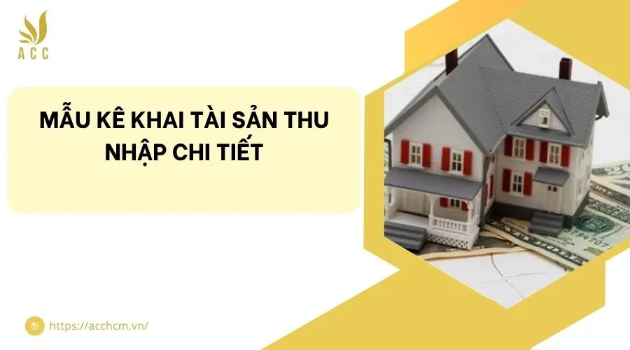 Mẫu kê khai tài sản​ thu nhập chi tiết