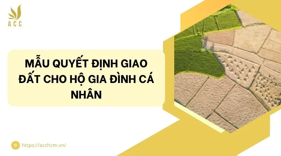 Mẫu quyết định giao đất cho hộ gia đình cá nhân