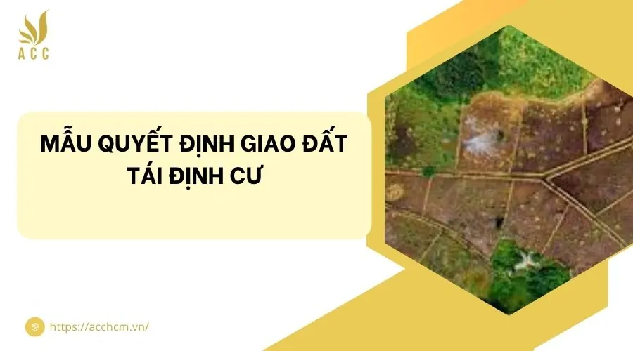 Mẫu quyết định giao đất tái định cư